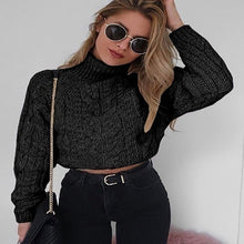 Load image into Gallery viewer, 2019 Turtleneck Sweater Women Pullover High Elasticity Knitted Ribbed Sweater Slim Jumper Autumn Winter Basic Female Sweater